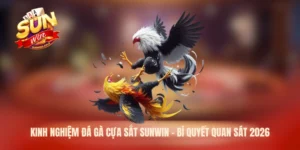 kinh nghiệm đá gà cựa sắt